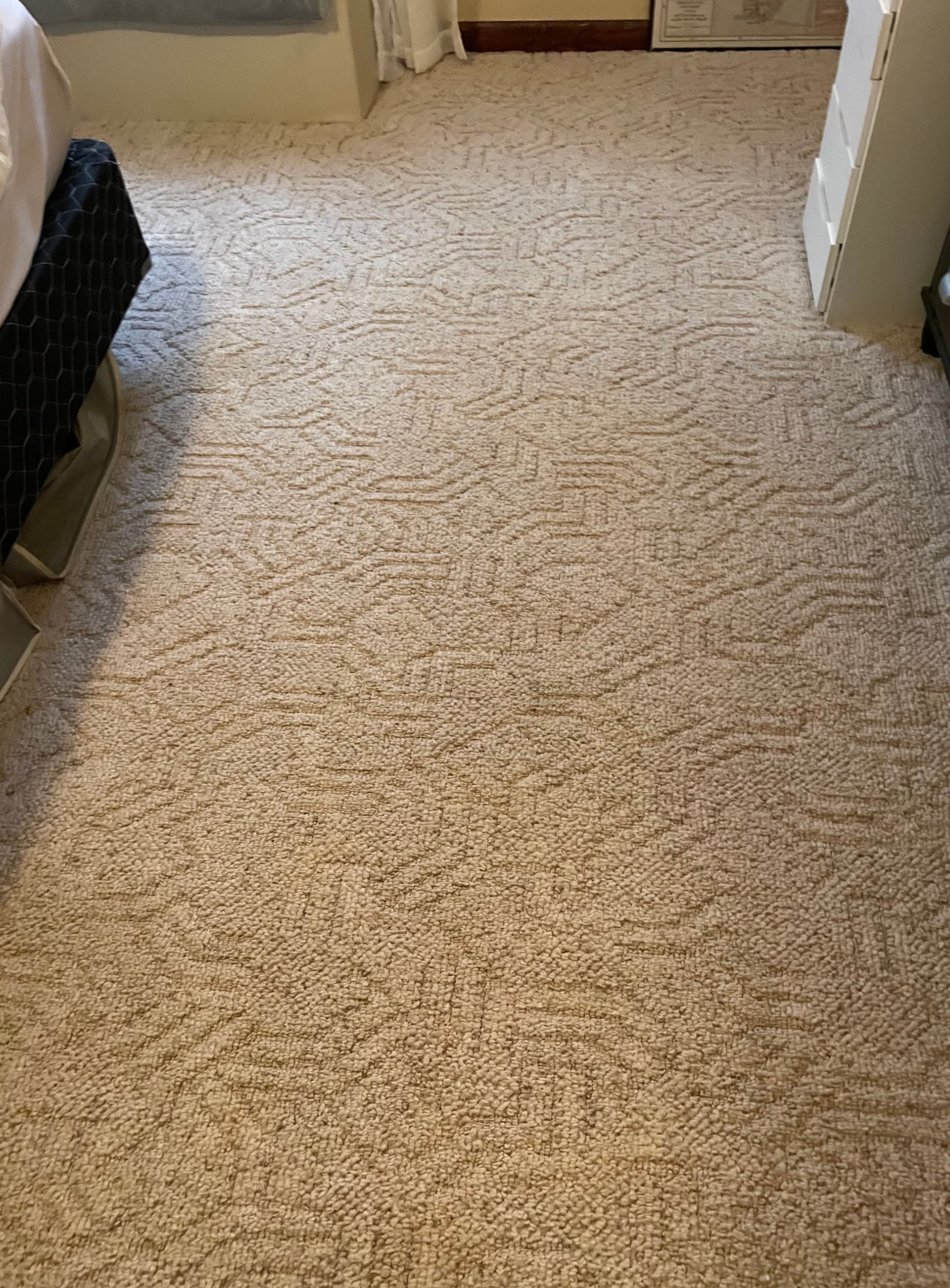 A freshly cleaned carpet by Zerorez.